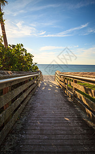 冲向范德比尔特海滩的滑板步行海岸线海景海洋热带小路海滩旅行海湾海岸图片