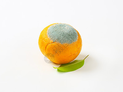 一个腐烂的橙子水果食物毒素绿色灰色霉菌衰变图片