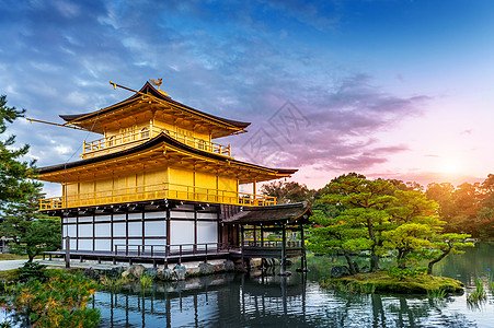 金殿 日本京都的九角寺庙佛教徒花园池塘游客旅游神社建筑金子地标观光图片