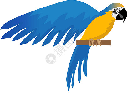 鹦鹉平面图标卡通风格 蓝色和黄色的金刚鹦鹉字符 彩色鸟飞 孤立在白色背景上 矢量图图片