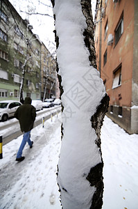 树上有雪途径白色公园男人降雪天气车道梧桐树小路街道图片