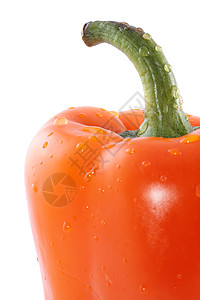 胡椒橙辣椒戒指红色摄影食物团体胡椒黄色圆圈白色绿色图片