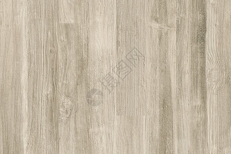 浅色 grunge 木板 木板背景 旧墙木复古飞路地面木材木匠铺硬木木地板风化装饰指甲桌子松树图片