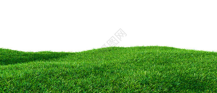小山丘上的绿草地足球公园叶子土地活动草皮娱乐植物游戏生长背景图片