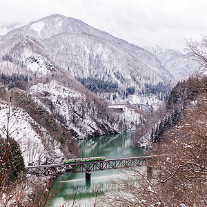 冬季风雨雪培训冰镇景观白色田园松树火车林地森林铁路树木图片