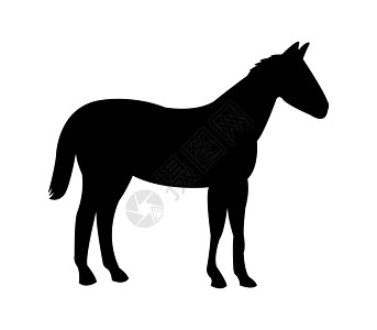 马 ico危机赛马场商业网络标识黑色鬃毛金融蹄子出口图片