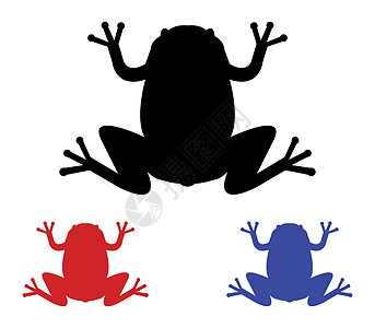 青蛙图标森林动物学红色团体白色荒野动物动物园蝌蚪绿色图片