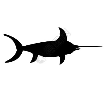 箭鱼图标钓鱼动物徽章插图荒野跳跃海洋吉祥物蓝色快乐图片