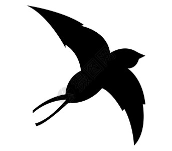 燕子图标大肠杆菌野生动物翅膀航班飞行羽毛艺术动物尾巴天空图片