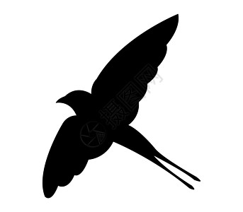 燕子图标飞行生物荒野庇护所尾巴艺术野生动物标识动物翅膀图片