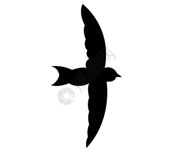 燕子图标野生动物荒野标识天空庇护所飞行生物航班艺术尾巴图片