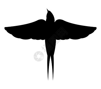 燕子图标庇护所动物天空荒野航班大肠杆菌尾巴生物飞行标识图片