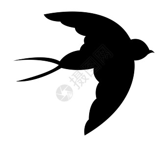 燕子图标庇护所翅膀野生动物天空飞行荒野航班羽毛标识插图图片