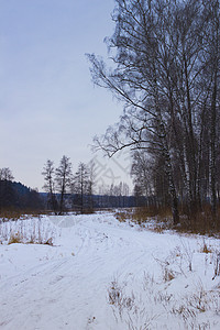 冬天路的景色 纯雪路和车迹图片