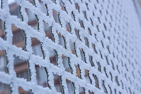 冬季冰霜覆盖的冷冻金属铁钢板网格图片