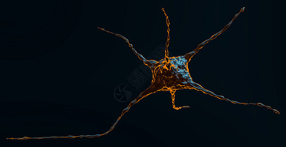 内空摘要说明 Neuron生物学荷尔蒙信号科学解剖学宏观生物细胞风暴轴突图片