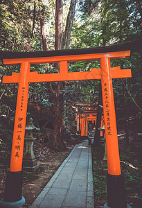 日本京都佛教徒隧道人行道旅行文化小路地标森林宗教建筑学图片