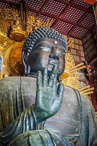 日本纳拉寺庙的旅游神道青铜金子建筑学吸引力遗产旅行神社大厅图片