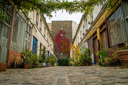 巴黎11区Figuier街家庭入口房子花园植被城市阳台街道建筑学路面图片