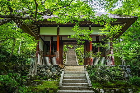 日本京都Jojakkoji寺庙宗教神道旅游文化神社竹子建筑学游客佛教徒旅行图片