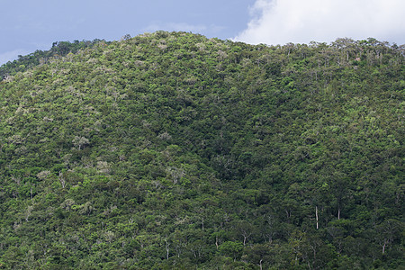 泰王国的林区公园蓝色太阳爬坡天空日落山脉森林场景绿色图片