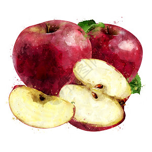 白色背景上的红苹果 它制作水彩画餐厅斑点烹饪插图美食生态水彩蜜饯包装厨房图片