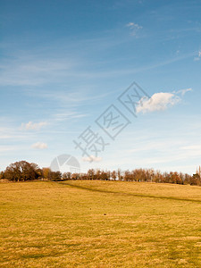 英格兰蓝天前方的英国草原农业天空农村土地蓝色场景远景草地天堂阳光场地植物图片