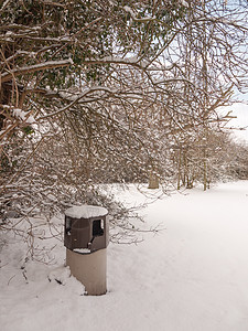 冬季 公园树和垃圾桶外的雪雪覆盖了现场图片