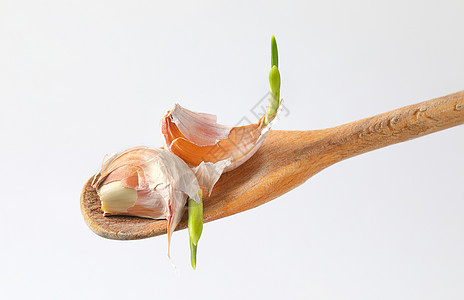 新鲜大蒜叶蔬菜食物勺子图片
