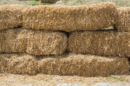 户外的Hay Bales堆食物收成小麦草垛稻草干草场地植物农场图片