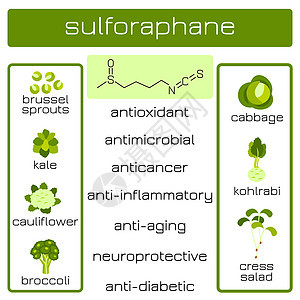 信息图表 萝卜硫素有机化合物生物癌症水芹排毒生活方式抗菌剂糖尿病预防抗癌原子图片