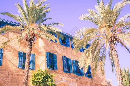 南部房屋 南边棕榈树附近有蓝色窗户图片