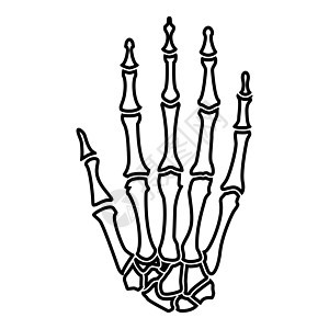 手骨图标黑色插图平面样式简单图像放射科科学医疗腕骨x光解剖学身体药品手指远端图片
