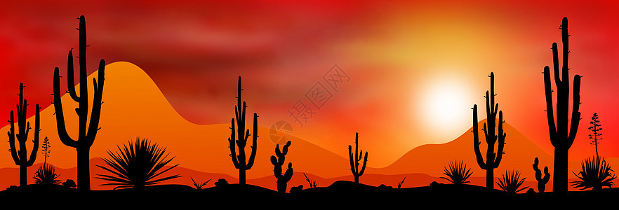 沙漠中的日落太阳背景图片