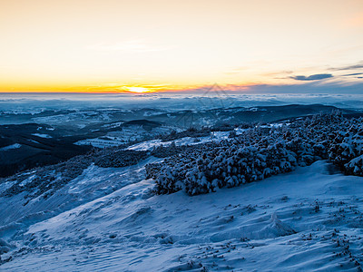 冬山的黄昏国家暴风雪旅行天气公园环境阳光木头降雪太阳图片