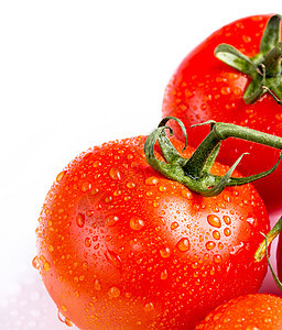 新鲜红西红番茄特写于白色背景图片