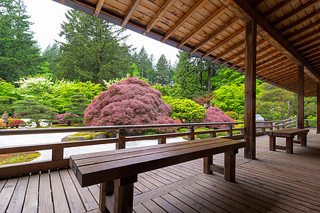 维兰达的日本花园之景图片
