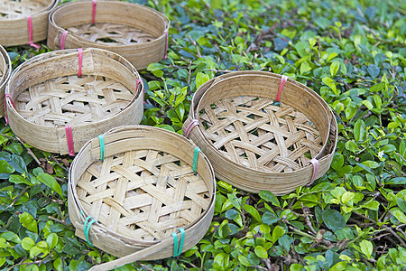 青草上的竹竹鱼罐图片