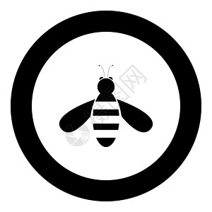 蜜蜂图标黑颜色在 circl图片