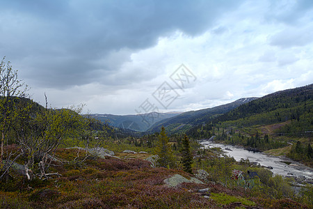 挪威的Tundra景观荒野山脉丘陵地形蓝色沼泽全景风景天气石头图片