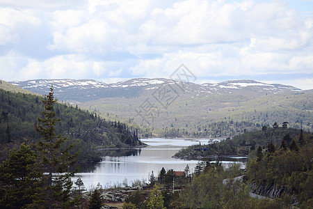 挪威的Tundra景观公园全景环境旅行旅游荒野天空远足沼泽石头图片