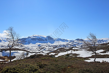 春季山谷地貌爬坡苔藓白色顶峰蓝色风景天空岩石背景图片