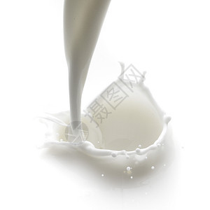 喷洒奶水酸奶奶油奶制品宏观运动营养白色流动飞溅液体背景图片