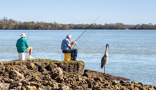 老人与海3个钓鱼 2个男人 一个伟大的蓝色海绵每只海岸鸟类黑鹭码头岩石老人海湾渔民背景