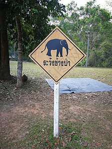 警示板和泰国语 照片中指 