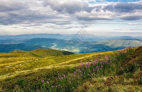 夏末在山上草丛中放火地面风景杂草天堂爬坡投标海拔环境土地天气图片