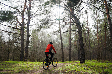 赛车手骑着山上摩托 在美丽的松树林的迷雾中 冒险和旅行概念踪迹男性娱乐射线运动员车轮安全骑士耐力赛橙子图片