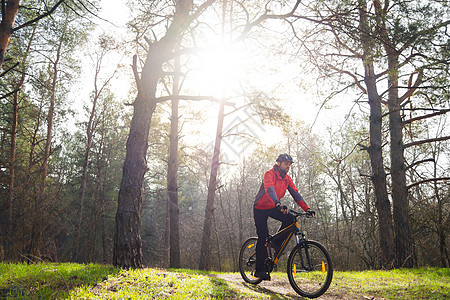 赛车手骑着山上摩托 在阳光下美丽的松林的轨迹上 冒险和旅行概念骑士松树车轮男性耐力男人射线耐力赛活动橙子图片