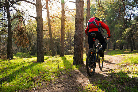 赛车手骑着山上摩托 在阳光下美丽的松林的轨迹上 冒险和旅行概念耐力赛橙子运动员踪迹娱乐森林男人骑士耐力活动图片
