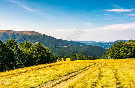 穿过草山的农村公路土地泥路地面风景森林环境爬坡国家运输林地图片